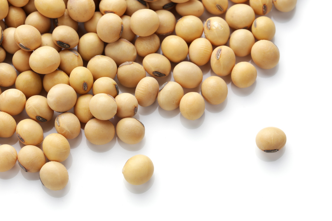 soy beans